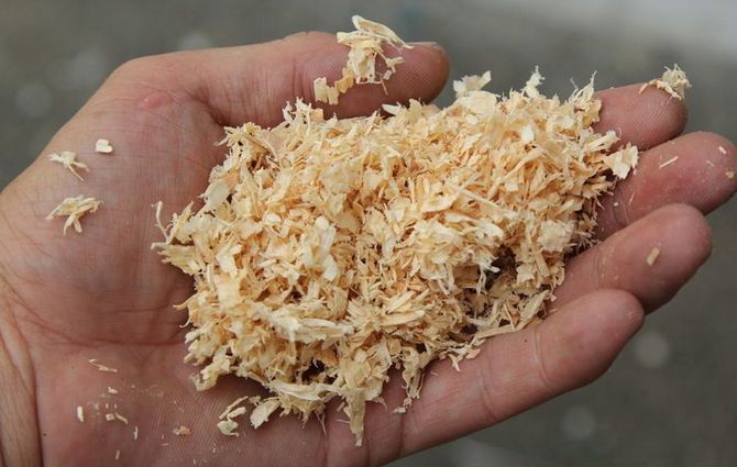 Wood waste in the form of shavings is used for smoking meat, lard, fish, as well as vegetables and fruits.