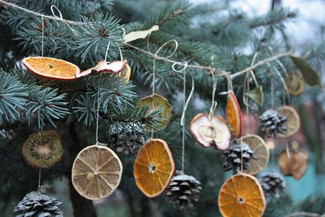 Dried Fruit Garlands