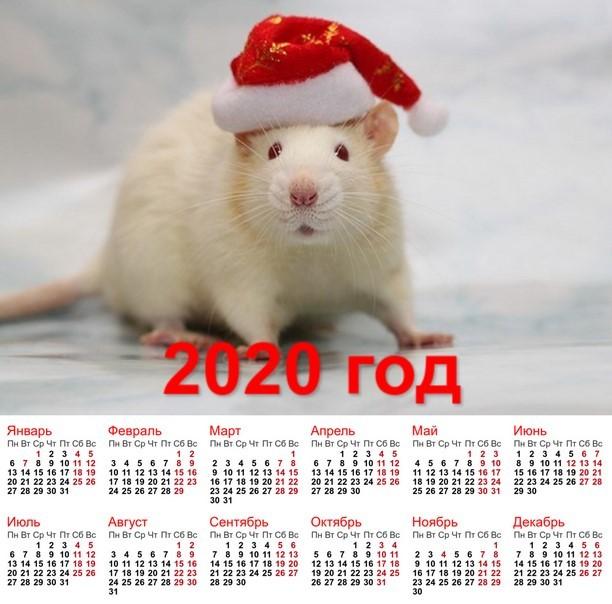 какво животно ще бъде 2020 в Русия