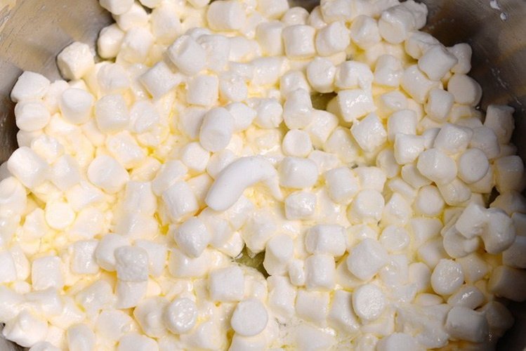 Melt butter in a large saucepan and add marshmallows