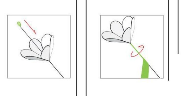 Papierowe kwiaty - schematy i szablony do tworzenia papierowych kwiatów etap 6