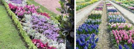Рабатка е плоска цветна градина, състояща се от различни растения. Можете да поставите рабатката в централната част на голяма цветна градина, след което ще трябва да засадите растенията, така че да имат привлекателен външен вид от двете страни.