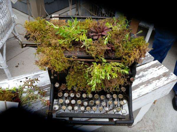 Стара пишеща машина ще се превърне в градински занаят, ако е частично покрита със земя и засадена с растения.