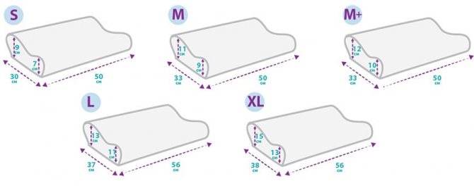 orthopedic pillow sizes