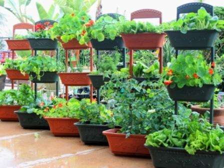 Container garden in front of the house