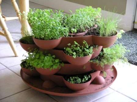 ideas for container garden photos