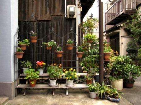 container garden in the country