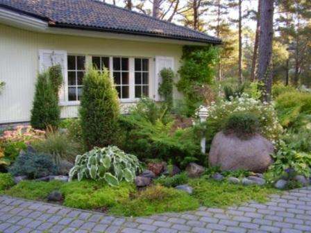 decorating the courtyard in front of the house with plants