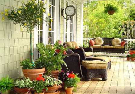 If you have a small area, in which there is already a vegetable garden, but there is not enough space for flower beds