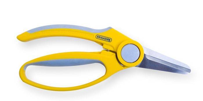 Flower pruner
