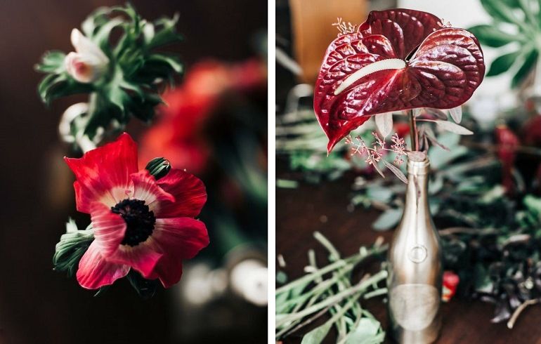 Dark flowers in composition