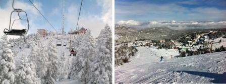 Желаещите да се насладят на активна зимна ваканция през януари трябва да насочат вниманието си към Улудаг и Паландокен - ски курортите на Турция. Австрия, Франция, Италия, България също предлагат подобен тип ваканция през януари.