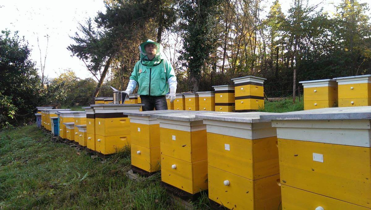 Wysokiej jakości produkty dla pszczelarzy od niezawodnego i zaufanego dostawcy