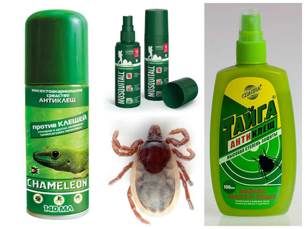 Unfortunately, there is no drug that is effective against ticks and does not harm other horticultural crops. Let's take a look at some of the most popular remedies.
