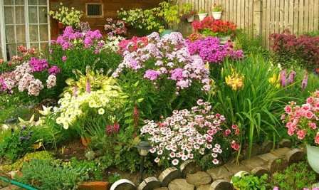 Как да подредите цветна градина пред къщата, снимка