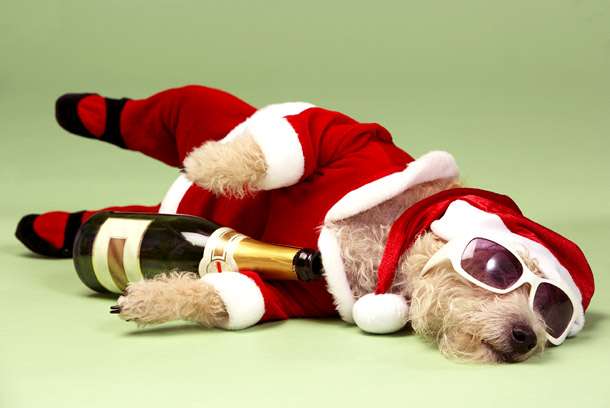 Gelukkig nieuwjaarsgroeten van de hond in verzen