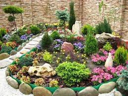 You will need: stones, sand, earth, turf or peat, humus and the plants themselves, which will be placed on the hill