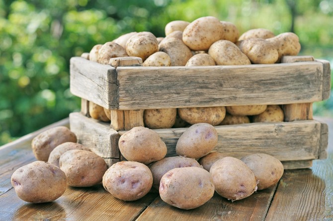 Jak trzymać ziemniaki w mieszkaniu