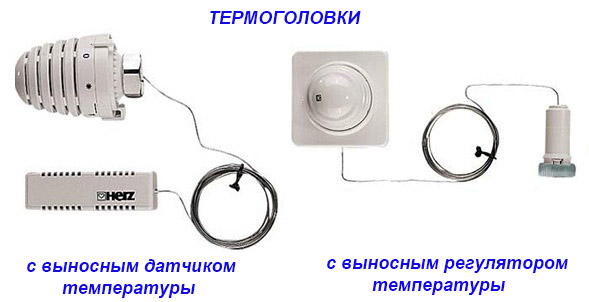 Varieties of heads