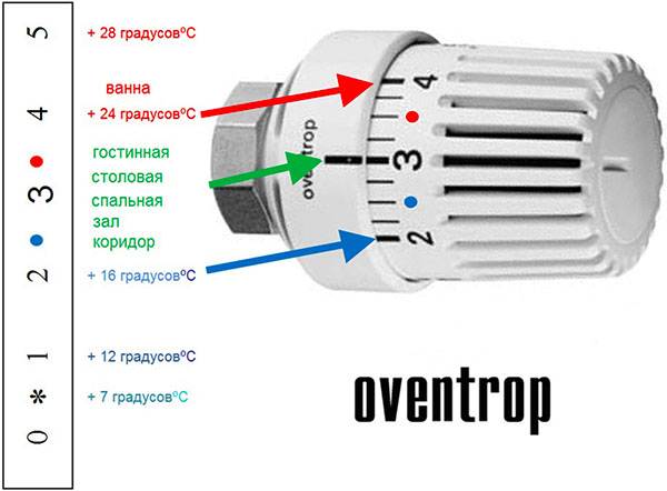 Explanation of the tuning scale