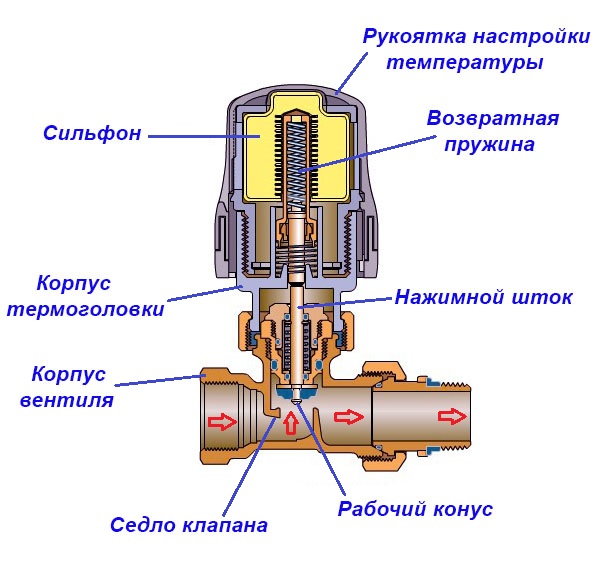 Schemat przekrojowy termostatu