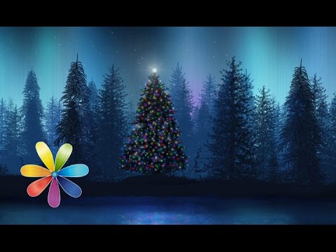 How to choose a lush live spruce? - Everything will be kind - 12/22/2014 - Everything will be fine