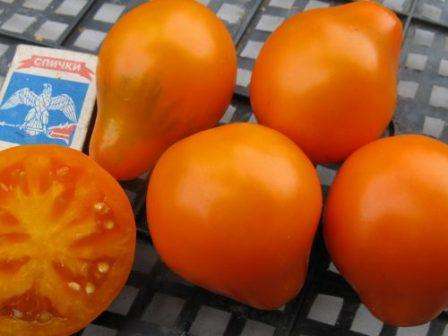 Przy uprawie tej odmiany pomidorów wystarczy pozostawić tylko dwie łodygi. Na każdej łodydze powinno pozostać około 6 gron, które zaowocują i każda da około 6 owoców. Na otwartym polu krzew rozciąga się na wysokość