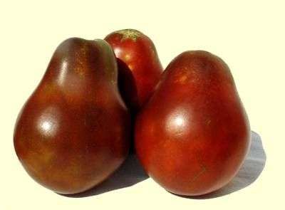 Japoński pomidor truflowy: charakterystyka i opis odmiany