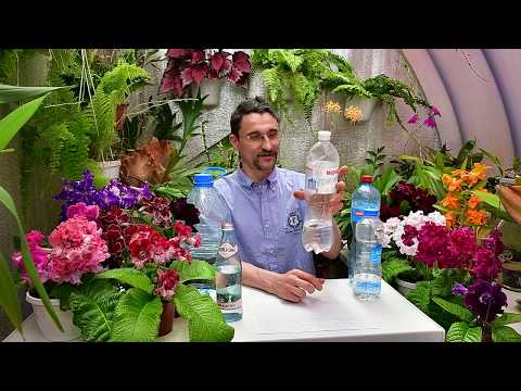 About watering plants with mineral water