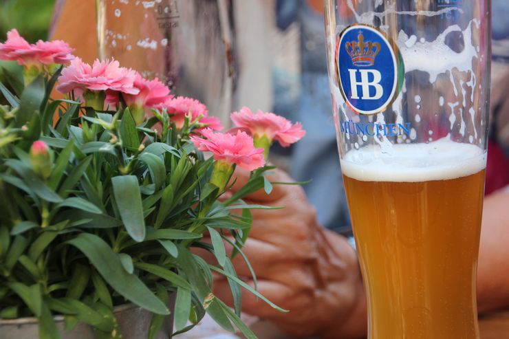 Is it possible to water flowers with beer