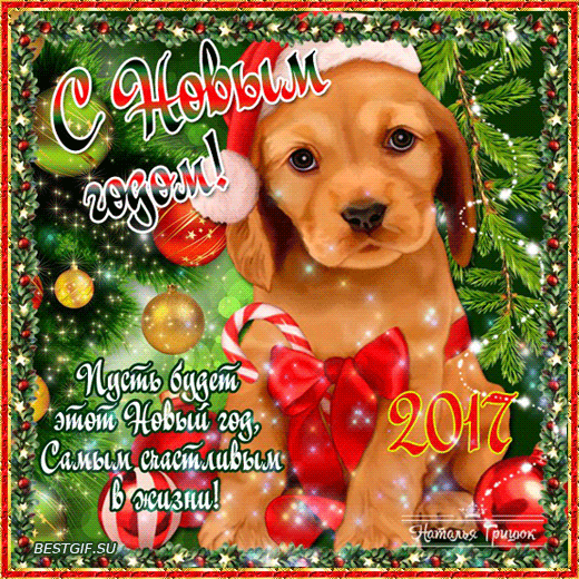 Happy new year 2018 greeting cards of the dog