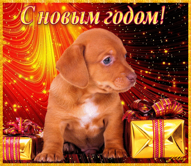 Happy new year 2018 greeting cards of the dog