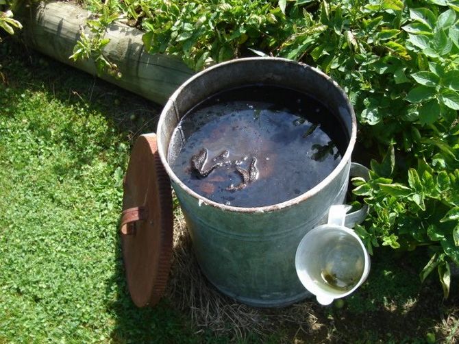 How to make compost tea without a pump or compressor