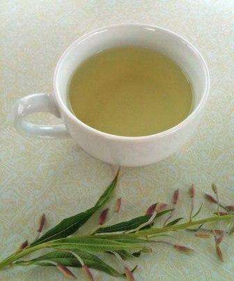 Koporsky tea