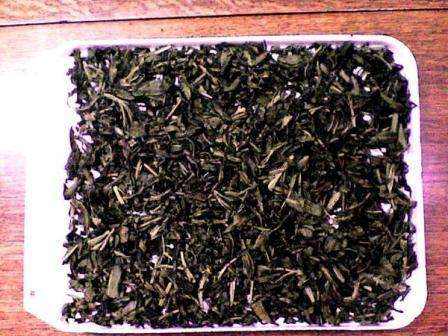 Az Ivan tea gyűjtése és megfelelő szárítása
