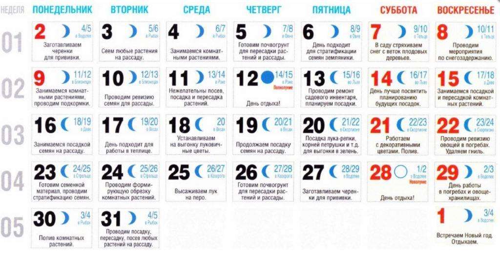 Lunar sowing calendar 2023