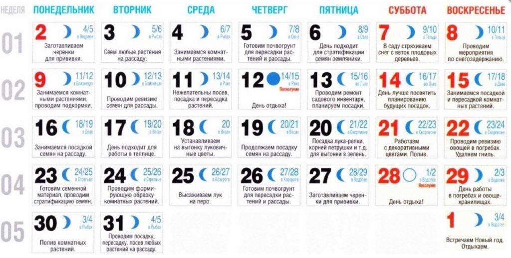 Lunar sowing calendar 2023