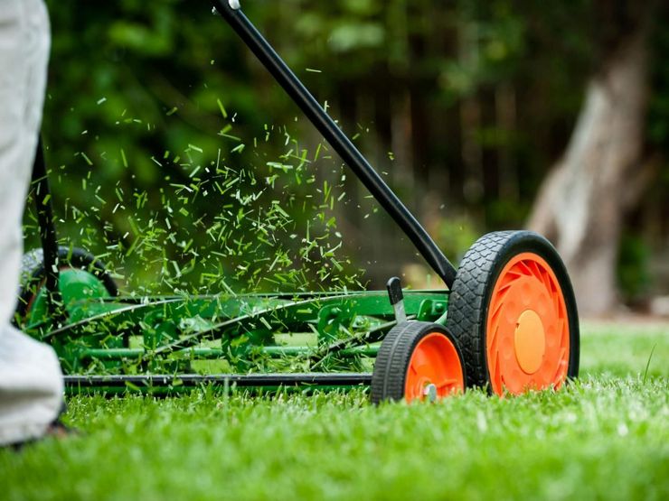 Mulching the lawn