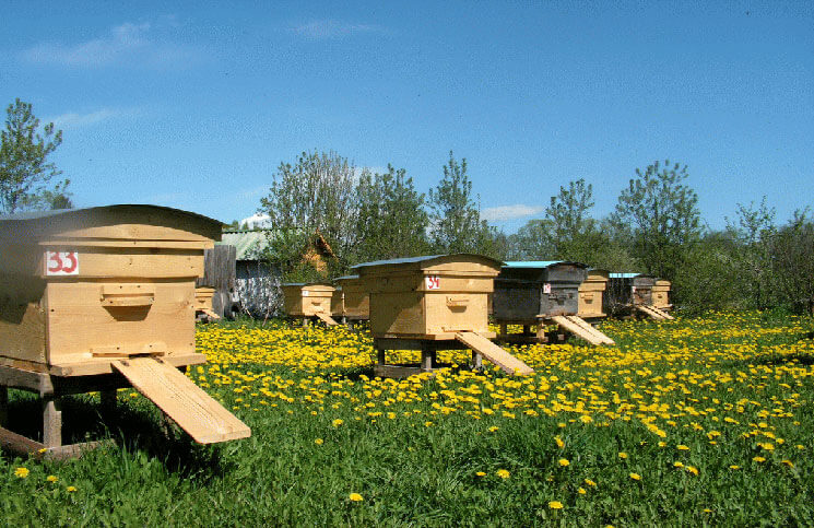 Quality products for beekeepers from a reliable and trusted supplier