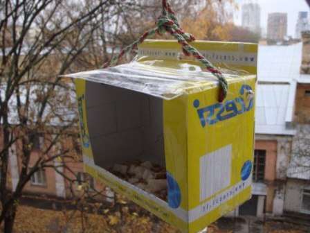 DIY bird feeder out of the box
