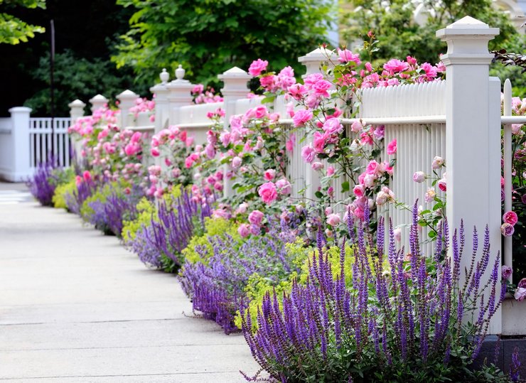 Csináld magad virágoskert a kerítés mentén, virágágyási dekoráció