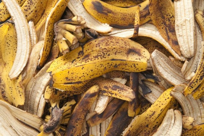 Banánhéj műtrágyaként