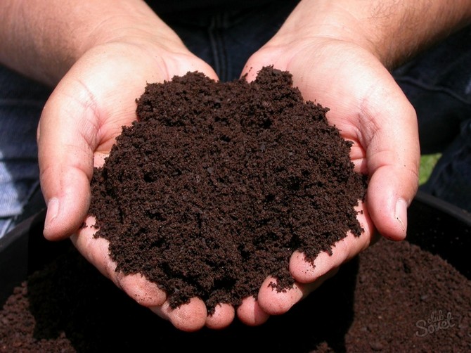 Almost every plot of land has a place for a compost heap.