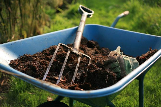 Organic fertilizers: manure, compost, humus and others
