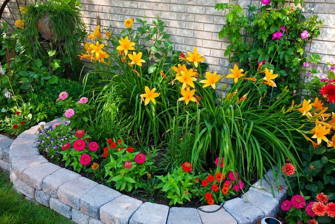 De tuin decoreren met bijzondere planten