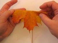 Rękodzieło DIY z naturalnych materiałów