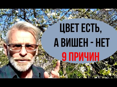 WHY CHERRY does not bear fruit / 9 reasons / Igor Bilevich