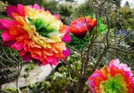 Te kwiaty można wykorzystać do dekoracji pokoju lub stworzenia łuku z kwiatów weselnych.
