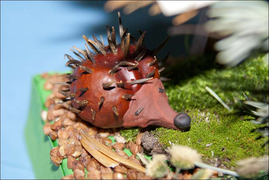 Let's make the body of a hedgehog out of brown chestnut. Inside, you can glue plasticine for density, or you can just use a whole chestnut.