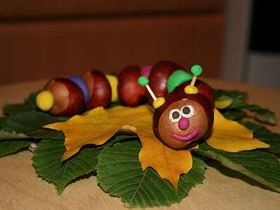 Crafts from chestnuts with their own hands on the theme of autumn to school. Photo